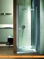 Душевая дверь Radaway Almatea DWJ 80L (прозрачное стекло) картинка