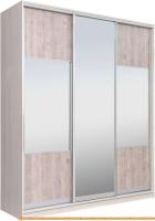 Шкаф-купе Рэйгрупп 203 YSX Elgon РГ-08.06 (ясень снежный/сосна/хром) картинка