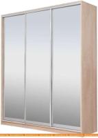 Шкаф-купе Рэйгрупп 176450 TTX Elgon РГ-09.04 (дуб торонто/хром) картинка