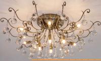 Потолочная люстра Евросвет Vita 10042/12 (бронзовый) картинка