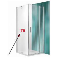 Душевая стенка Roltechnik Tower Line TB/900 90x201 картинка