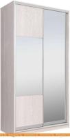 Шкаф-купе Рэйгрупп 158450 YYX Elgon РГ-04.06 (ясень снежный/хром) картинка