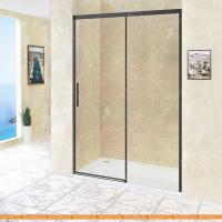 Душевая дверь RGW LE-12B 100 картинка