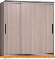 Шкаф-купе Глазов Strike 2000 ЛДСП (ясень шимо светлый) картинка
