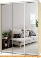 Шкаф-купе Modern Роланд Р67 + Р37 (ирландский дуб) картинка