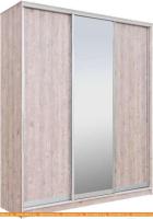 Шкаф-купе Рэйгрупп 233450 SSX Elgon РГ-07.02 (сосна натуральная/хром) картинка