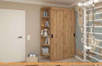 Шкаф-купе ЭлиГард Лагуна ШЛ-02.Л.0 (дуб натуральный) картинка