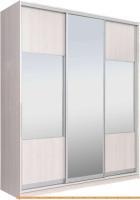 Шкаф-купе Рэйгрупп 203 YYX Elgon РГ-08.06 (ясень снежный/хром) картинка