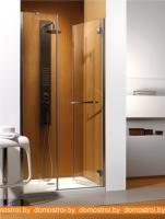 Душевая дверь Radaway Carena DWJ (99 - 100) (34322-01-01NR) картинка