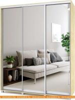 Шкаф-купе Modern Роланд 1800 (450) (зеркало/ирландский дуб) картинка