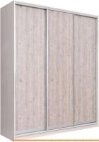 Шкаф-купе Рэйгрупп 203 YSX Elgon РГ-02.03 (ясень снежный/сосна/хром) картинка