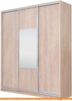 Шкаф-купе Рэйгрупп 233450 TTX Elgon РГ-07.05 (дуб торонто/хром) картинка