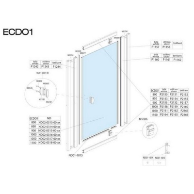 Душевая дверь Roltechnik Exclusive Line ECDO1/1000 100x185 фотография