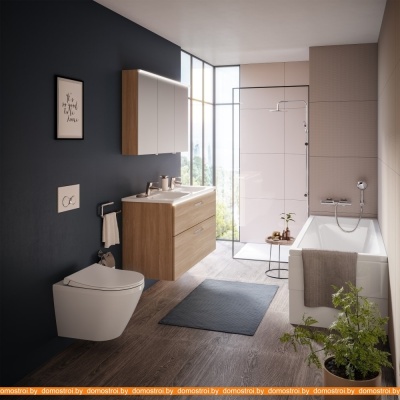 Унитаз Vitra L-box Integra Rimex 9856B003-7200 фотография