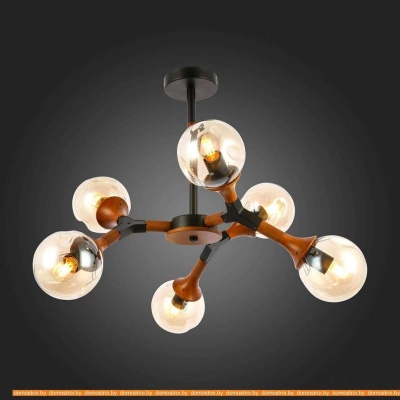 Люстра Evoluce Raquel SLE109402-06 фотография