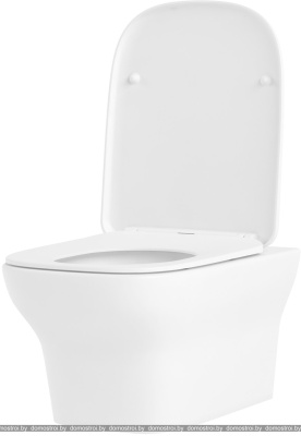 Унитаз Lavinia Boho Bristol Rimless 21010007 (чаша, пневмокрышка, шум-я) фотография