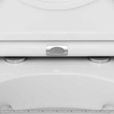 Унитаз AM.PM Inspire FlashClean IS49051.501700 фотография