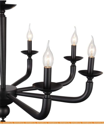 Подвесная люстра ST Luce Forteza SL1114.403.08 фотография