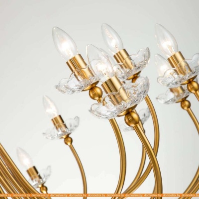 Подвесная люстра Favourite Bellis 2871-25P фотография