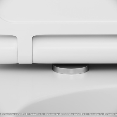 Унитаз AM.PM Inspire FlashClean IS49051.501700 фотография