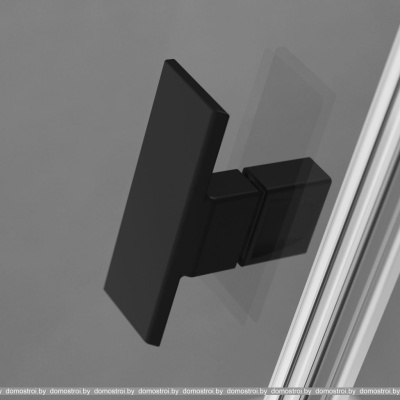 Душевая дверь Radaway Nes Black DWJ II 110 R фотография