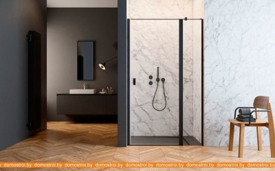 Душевая дверь Radaway Nes Black DWJ II 110 R фотография