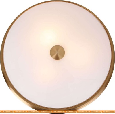 Потолочная люстра Favourite Pannikin 2375-3C фотография