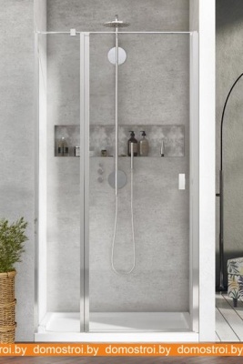 Душевая дверь Radaway Nes DWJ II 110 фотография