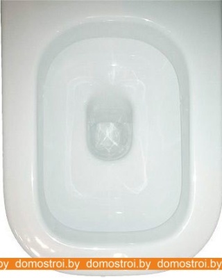 Унитаз Roca The Gap 893109000 фотография