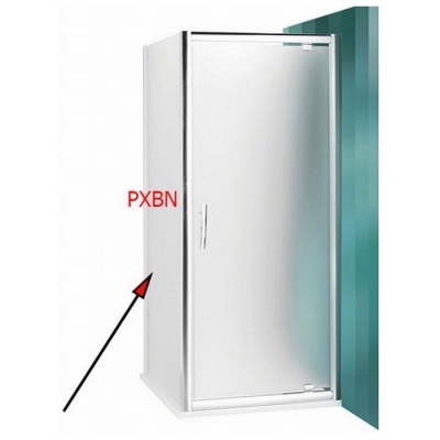Душевая стенка Roltechnik Proxima Line PXBN/1000 100x200 матовое стекло фотография