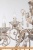 Подвесная люстра Евросвет Galatea 10009/12 (белый с золотом) фотография