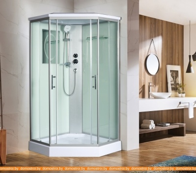 Душевая кабина WeltWasser WW500 Nesse 902 фотография