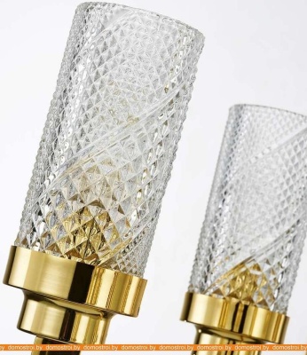 Подвесная люстра Favourite Anima 2812-6P фотография