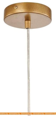 Подвесная люстра Favourite Antares 2932-1P фотография