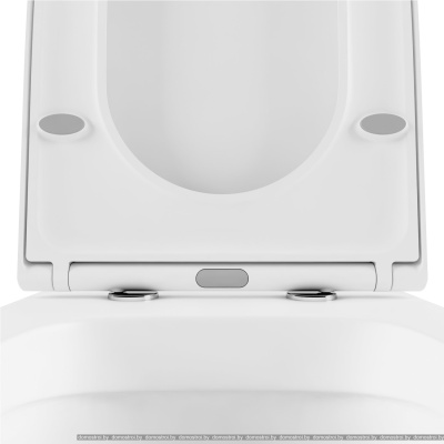 Унитаз Lavinia Boho Biore Rimless 21010006 (чаша, пневмокрышка, шум-я) фотография