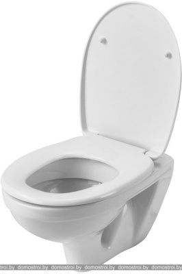 Унитаз Santek Бореаль Пэк 1.WH50.1.544 фотография