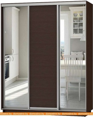 Шкаф-купе Vivat Mebel D3-03 240x60 (черное дерево) фотография