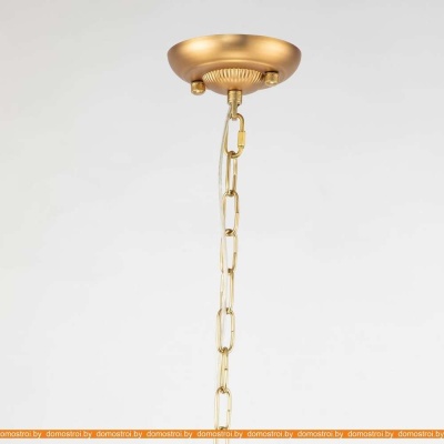 Подвесная люстра Favourite Raute 2964-6P фотография