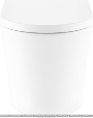 Унитаз Lavinia Boho Relfix Biore 5 в 1 87060234 (хром пластик) фотография