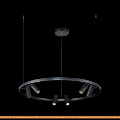 Подвесная люстра Maytoni Satellite MOD102PL-L42B фотография