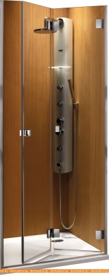 Душевая дверь Radaway Carena DWB 90L (прозрачное стекло) фотография