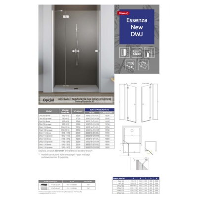 Душевая дверь Radaway Essenza New DWJ L/R [385016-01-01] 120x200 фотография