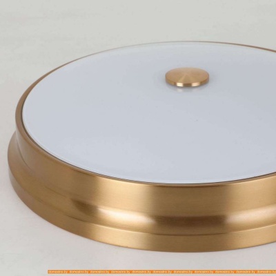 Потолочная люстра Favourite Pannikin 2375-3C фотография