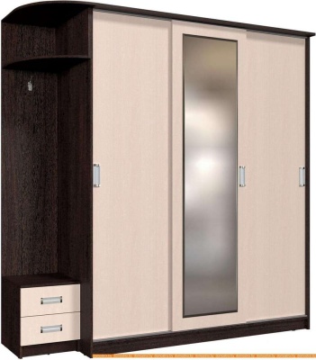 Шкаф-купе Интерлиния Андора АН18.01.03 (дуб молочный/дуб венге) фотография
