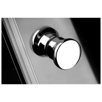 Душевая дверь Radaway Eos DWJ [37983-01-01N] 70x197 прозрачная фотография