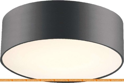 Потолочная люстра Favourite Cerchi 1514-2C1 фотография