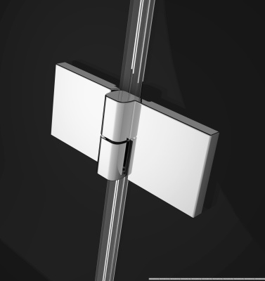 Душевой уголок Radaway Essenza New KDJ 120x100 385042-01-01L + 384052-01-01 фотография