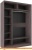 Шкаф-купе Глазов Домашний 1600 ЛДСП с зеркалом (ясень анкор темный) фотография