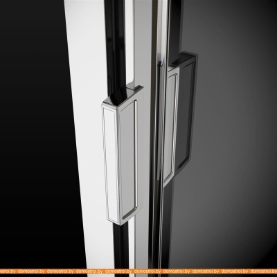 Душевая дверь Radaway Evo DW 105 фотография