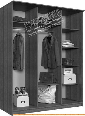 Шкаф-купе Интерлиния Андора АН18.01.03 (дуб молочный/дуб венге) фотография